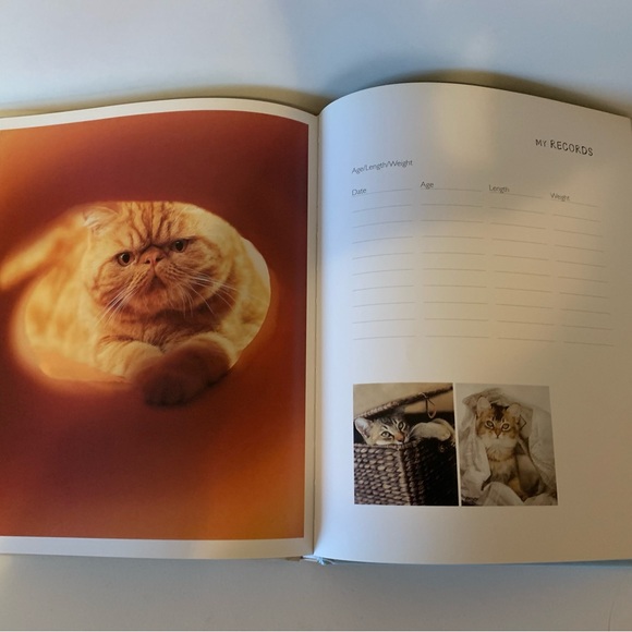 My cat record book hardcover keepsake journal by photographer Rachel hale - Picture 5 of 11